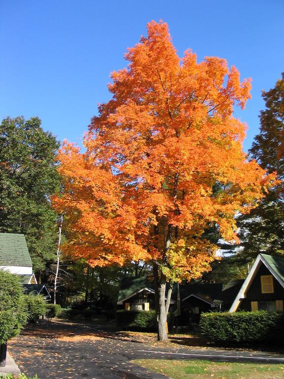 Amber Lantern Motel Lake George Quarto foto