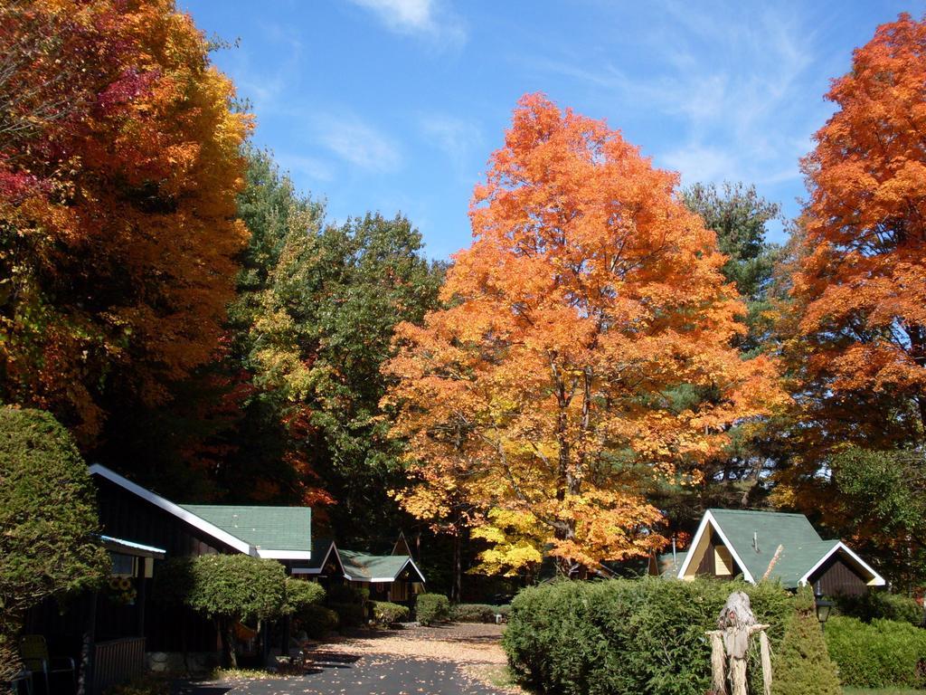Amber Lantern Motel Lake George Exterior foto